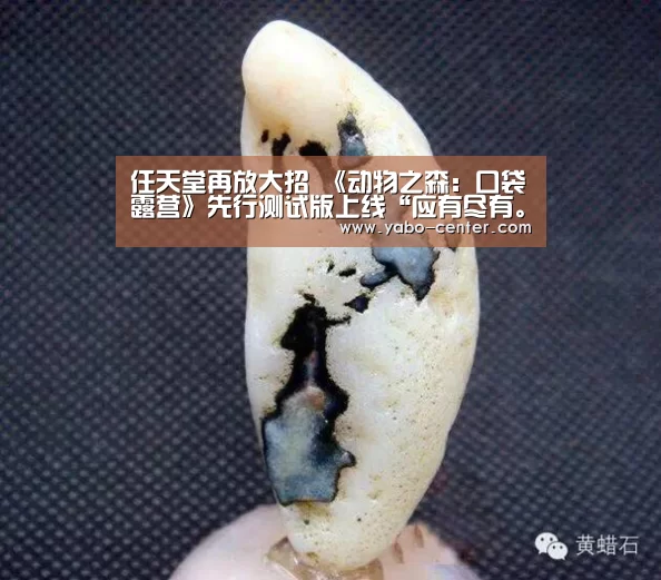 亚博体育