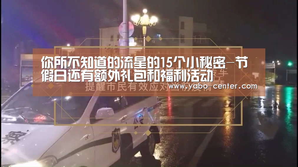 你所不知道的流星的15个小秘密-节假日还有额外礼包和福利活动(图4) 亚博体育官网